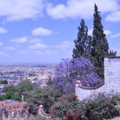  San Miguel de Allende, Mexico 2009